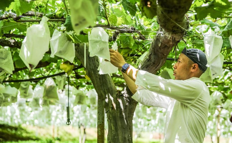干しぶどうバターサンド6個入（3種類×2個） お菓子 焼菓子 洋菓子 スイーツ おやつ ティータイム 