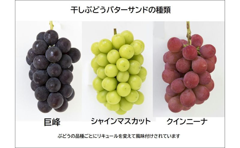 干しぶどうバターサンド6個入（3種類×2個） お菓子 焼菓子 洋菓子 スイーツ おやつ ティータイム 