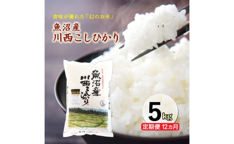 【定期便／12ヶ月】魚沼産川西こしひかり5kg