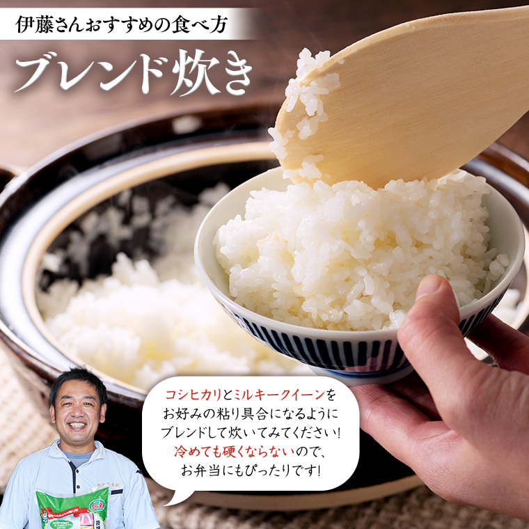 令和5年度コシヒカリ15kg茨城県産 main02-2023-09-26T095253.