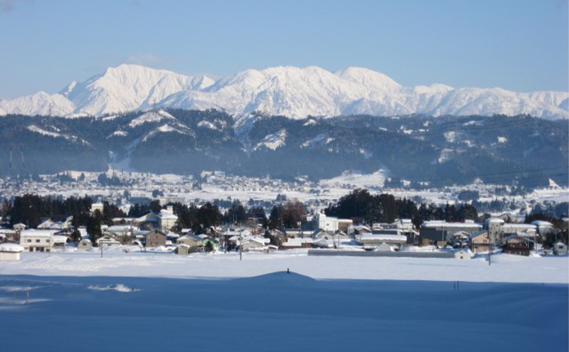 【定期便／6ヶ月】魚沼産川西こしひかり2kg