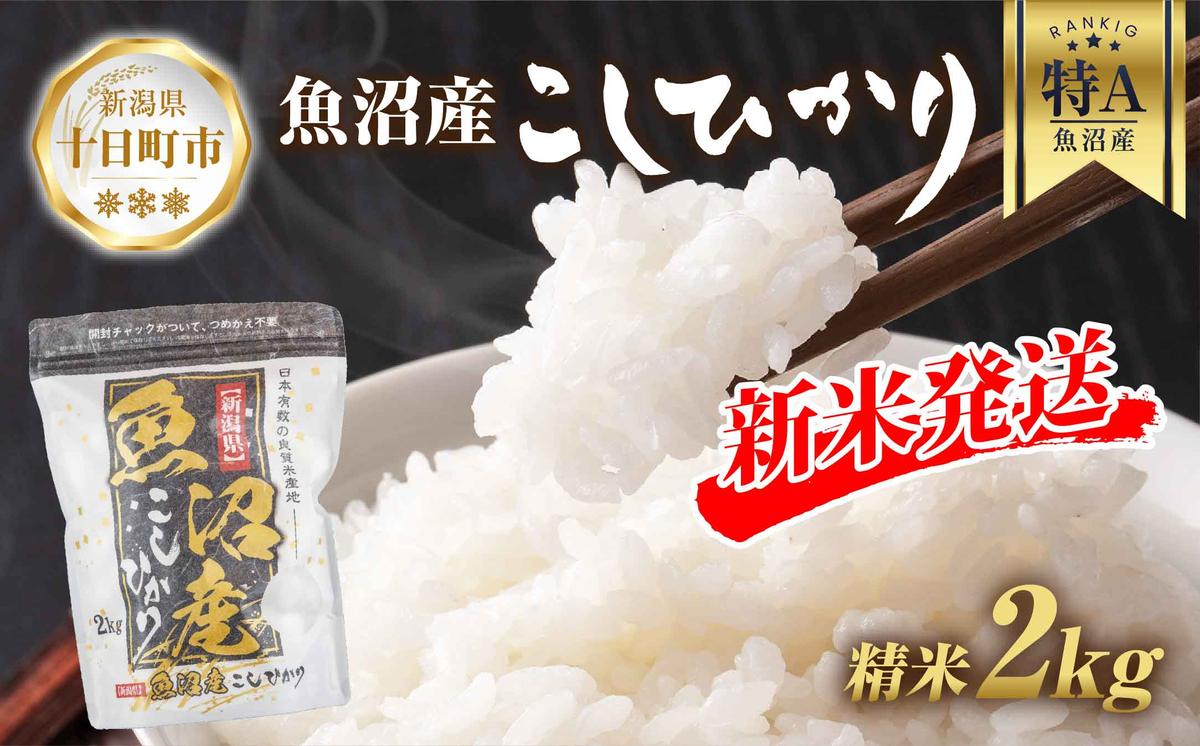 【新潟県十日町市】【令和7年産 新米予約】 魚沼産 コシヒカリ 2kg 精米 農家のこだわり 新潟県 十日町市 お米 こめ 白米 コメ 食品 人気 おすすめ 送料無料 ご飯 ブランド米 銘柄米