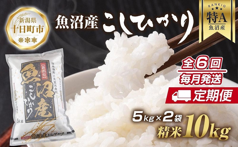 【新潟県十日町市】【定期便】新潟県 魚沼産 コシヒカリ お米 10kg×計6回 精米済み 半年間 毎月発送 こしひかり (お米の美味しい炊き方ガイド付き) ご飯 ブランド米 銘柄米