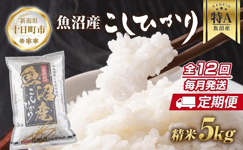 【新潟県十日町市】【定期便】新潟県 魚沼産 コシヒカリ お米 5kg×計12回 精米済み 年間 毎月発送 こしひかり (お米の美味しい炊き方ガイド付き) ご飯 ブランド米 銘柄米
