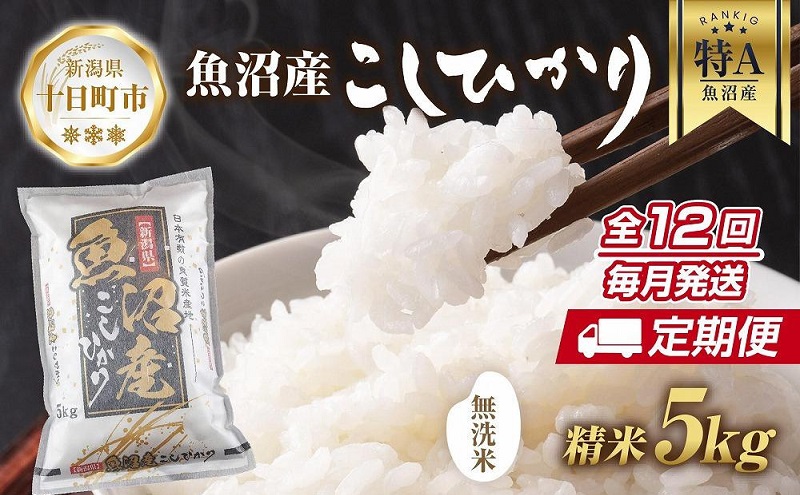 【新潟県十日町市】【定期便】|無洗米| 新潟県 魚沼産 コシヒカリ お米 5kg×計12回 精米済み 年間 毎月発送 こしひかり (お米の美味しい炊き方ガイド付き) ご飯 ブランド米 銘柄米