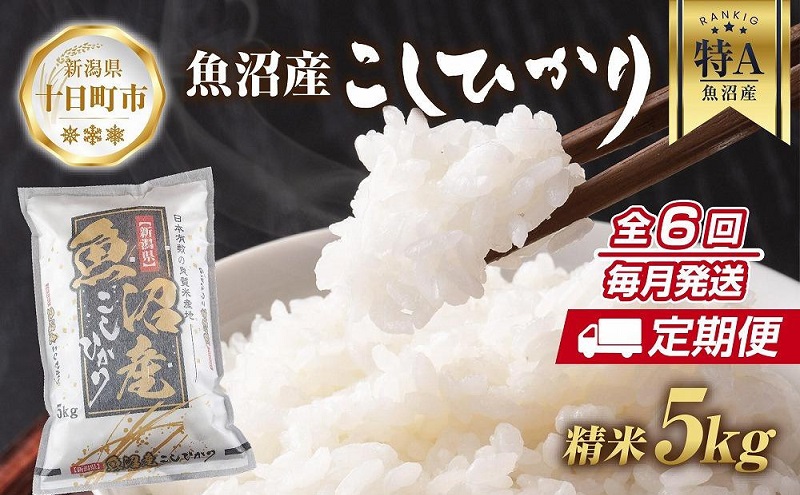 【新潟県十日町市】【定期便】新潟県 魚沼産 コシヒカリ お米 5kg×計6回 精米済み 半年間 毎月発送 こしひかり (お米の美味しい炊き方ガイド付き) ご飯 ブランド米 銘柄米