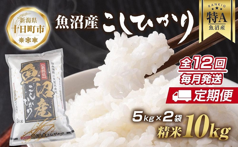 【新潟県十日町市】【定期便】新潟県 魚沼産 コシヒカリ お米 10kg×計12回 精米済み 年間 毎月発送 こしひかり (お米の美味しい炊き方ガイド付き) ご飯 ブランド米 銘柄米