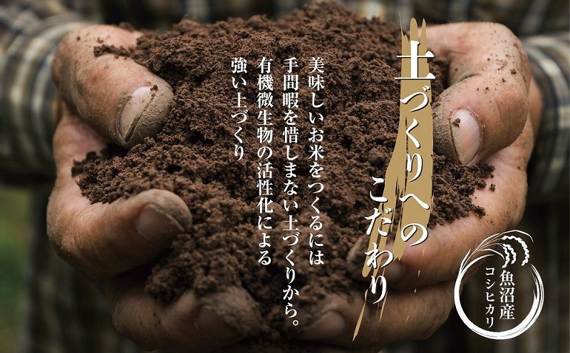 【定期便】 新潟県 魚沼産 コシヒカリ お米 30kg×計6回 精米済み 半年間 毎月発送 こしひかり（お米の美味しい炊き方ガイド付き） ご飯 ブランド米 銘柄米 