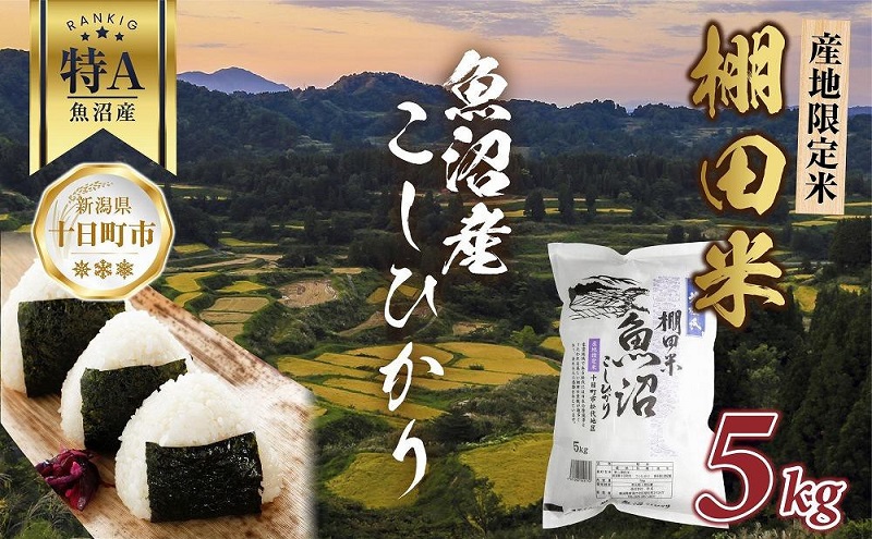 棚田米 魚沼産 コシヒカリ 5kg 新潟県 十日町市 松代地区 限定 棚田 こしひかり （お米屋秘伝！美味しいご飯の炊き方ガイド付き） 精米 ブランド米 銘柄米 