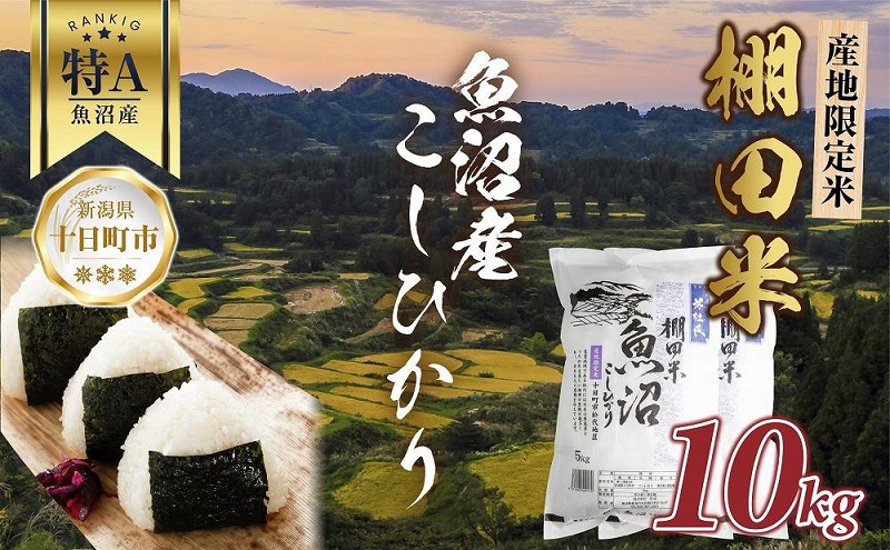 ふるさと納税 小物 新潟県 十日町市 がま口ポーチS　ぜんまい紬　灰色 がま口ポーチM ぜんまい紬 灰色 - 新潟県十日町市｜ふるさと