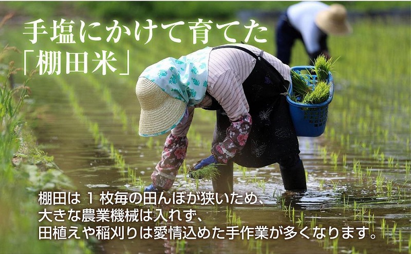 棚田米 魚沼産 コシヒカリ 10kg 新潟県 十日町市 松代地区 限定 棚田 こしひかり （お米屋秘伝！美味しいご飯の炊き方ガイド付き） 精米 ブランド米 銘柄米 