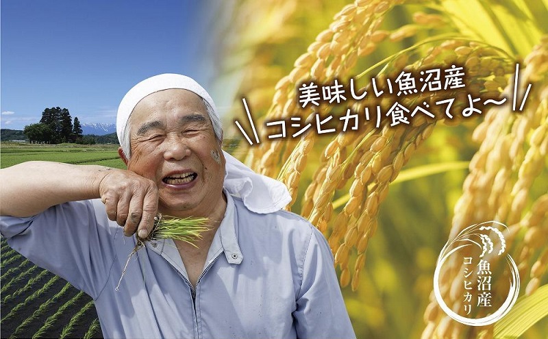 【令和7年産】 魚沼産 コシヒカリ 5kg × 2袋 計10kg 新米 農家のこだわり 新潟県 十日町市 お米 こめ 白米 コメ 食品 人気 おすすめ 送料無料 精米 ご飯 ブランド米 銘柄米 