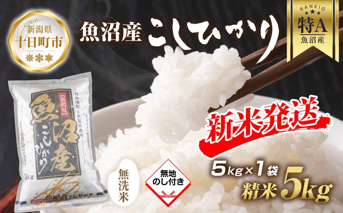 【新潟県十日町市】【令和7年産 新米予約】 無地熨斗 無洗米 魚沼産 コシヒカリ 5kg 新米 農家のこだわり 新潟県 十日町市 お米 こめ 白米 コメ 食品 人気 おすすめ 送料無料 精米 ご飯 ブランド米 銘柄米