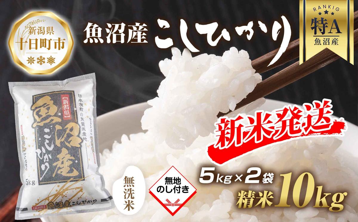 【新潟県十日町市】【令和7年産 新米予約】 無地熨斗 無洗米 魚沼産 コシヒカリ 5kg × 2袋 計10kg 新米 農家のこだわり 新潟県 十日町市 お米 こめ 白米 コメ 食品 人気 おすすめ 送料無料 精米 ご飯 ブランド米 銘柄米