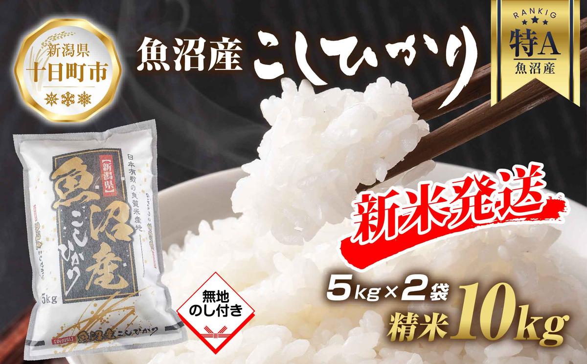 【新潟県十日町市】【令和7年産 新米予約】 無地熨斗 魚沼産 コシヒカリ 5kg × 2袋 計10kg 新米 農家のこだわり 新潟県 十日町市 お米 こめ 白米 コメ 食品 人気 おすすめ 送料無料 精米 ご飯 ブランド米 銘柄米