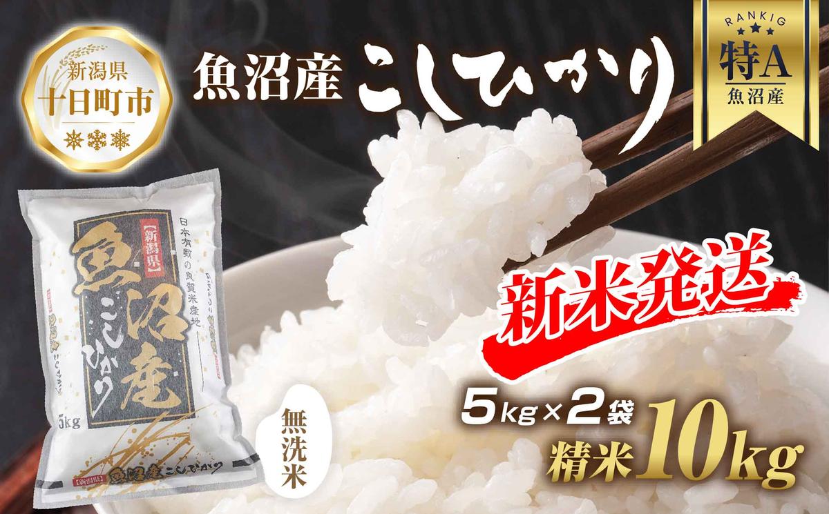 【令和7年産】 無洗米 魚沼産 コシヒカリ 5kg × 2袋 計10kg 新米 農家のこだわり 新潟県 十日町市 お米 こめ 白米 コメ 食品 人気 おすすめ 送料無料 精米 ご飯 ブランド米 銘柄米 