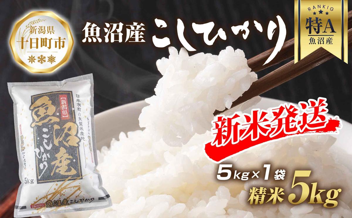 【新潟県十日町市】【令和7年産 新米予約】 魚沼産 コシヒカリ 5kg 新米 農家のこだわり 新潟県 十日町市 お米 こめ 白米 コメ 食品 人気 おすすめ 送料無料 精米 ご飯 ブランド米 銘柄米