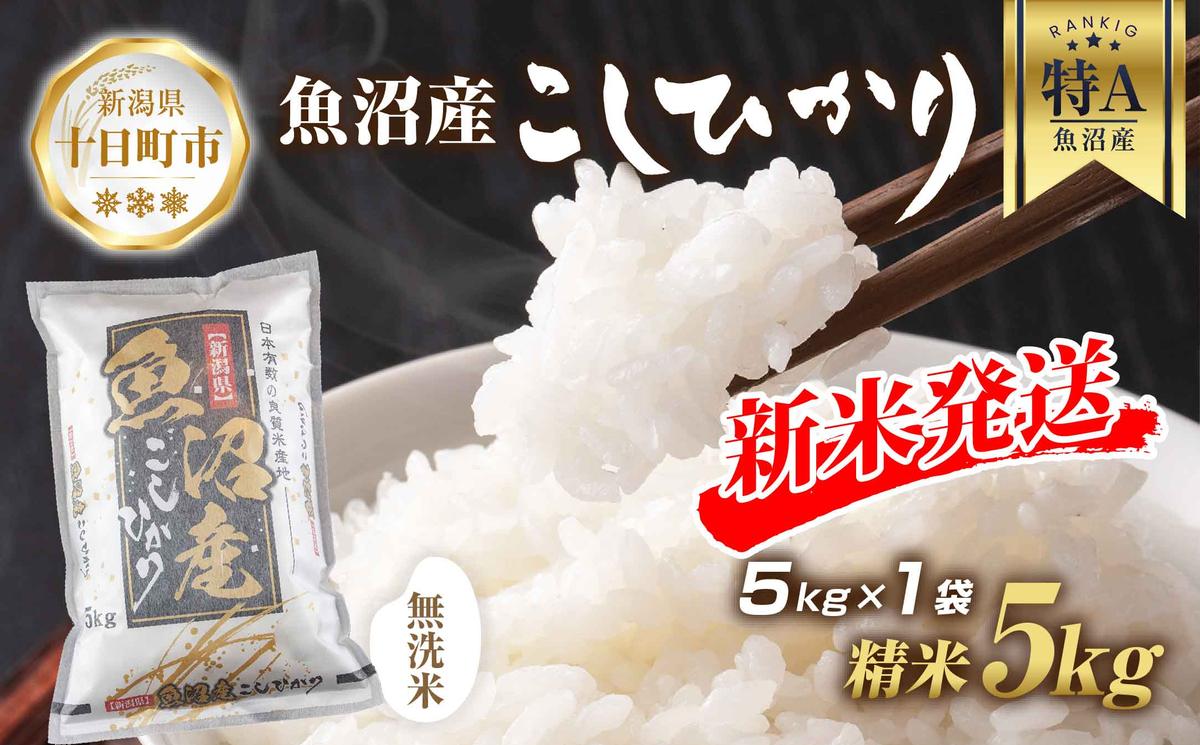 【新潟県十日町市】【令和7年産 新米予約】 無洗米 魚沼産 コシヒカリ 5kg 新米 農家のこだわり 新潟県 十日町市 お米 こめ 白米 コメ 食品 人気 おすすめ 送料無料 精米 ご飯 ブランド米 銘柄米