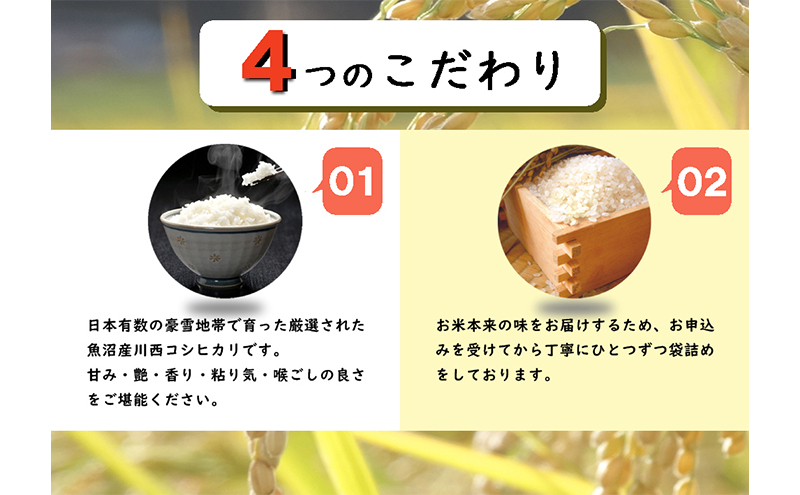 【定期便／全3回】無洗米 魚沼産こしひかり1合×30袋