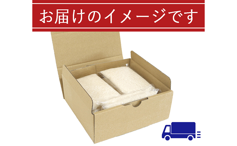 【定期便／全6回】無洗米 魚沼産こしひかり1合×10袋