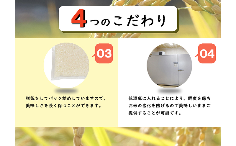 【定期便／全6回】無洗米 魚沼産こしひかり2合×10袋