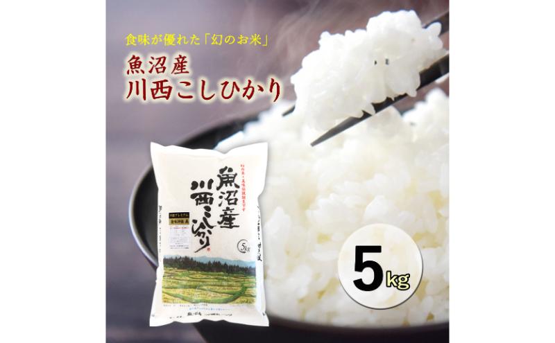 魚沼産川西こしひかり5kg