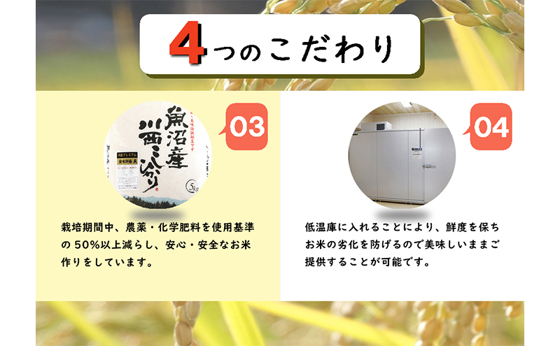 魚沼産川西こしひかり5kg×6