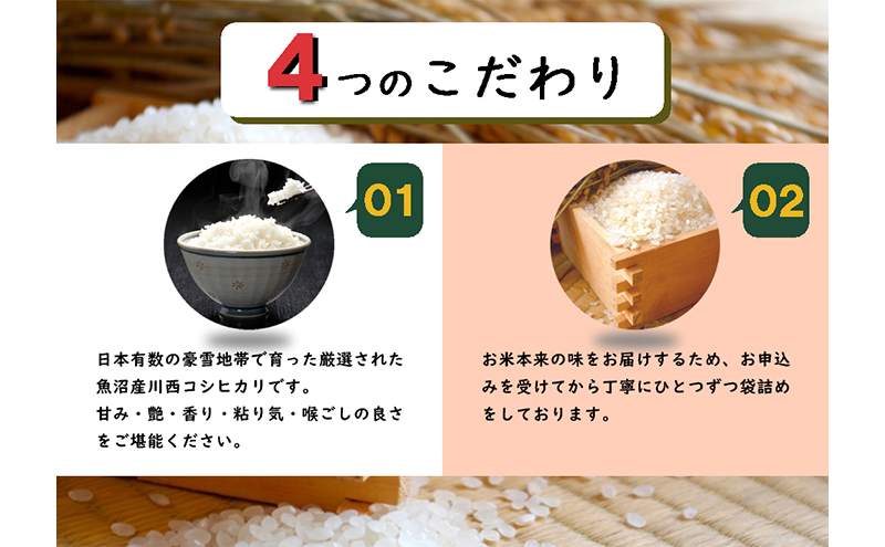 数量限定 従来品種 魚沼産コシヒカリ 精米 5kg×3