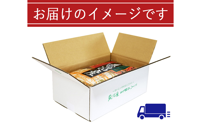 数量限定 従来品種 魚沼産コシヒカリ 精米 5kg×2