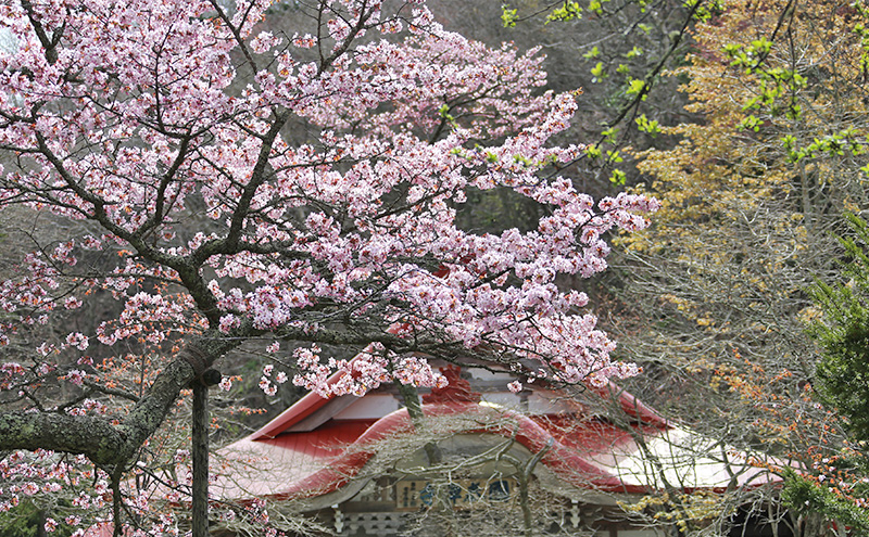 北海道厚岸町 寄附のみの応援受付 10,000円コース（返礼品なし 寄附のみ 10000円） 支援 自治体支援 
