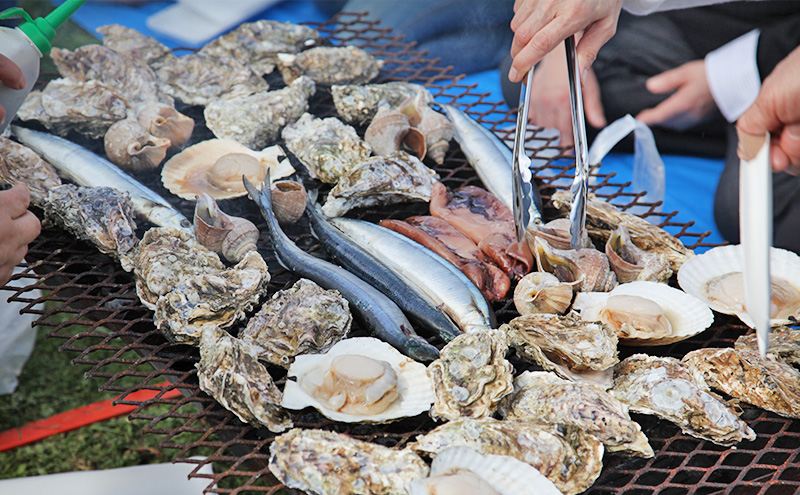 北海道厚岸町 寄附のみの応援受付 1,000円コース（返礼品なし 寄附のみ 1000円） 支援 自治体支援 