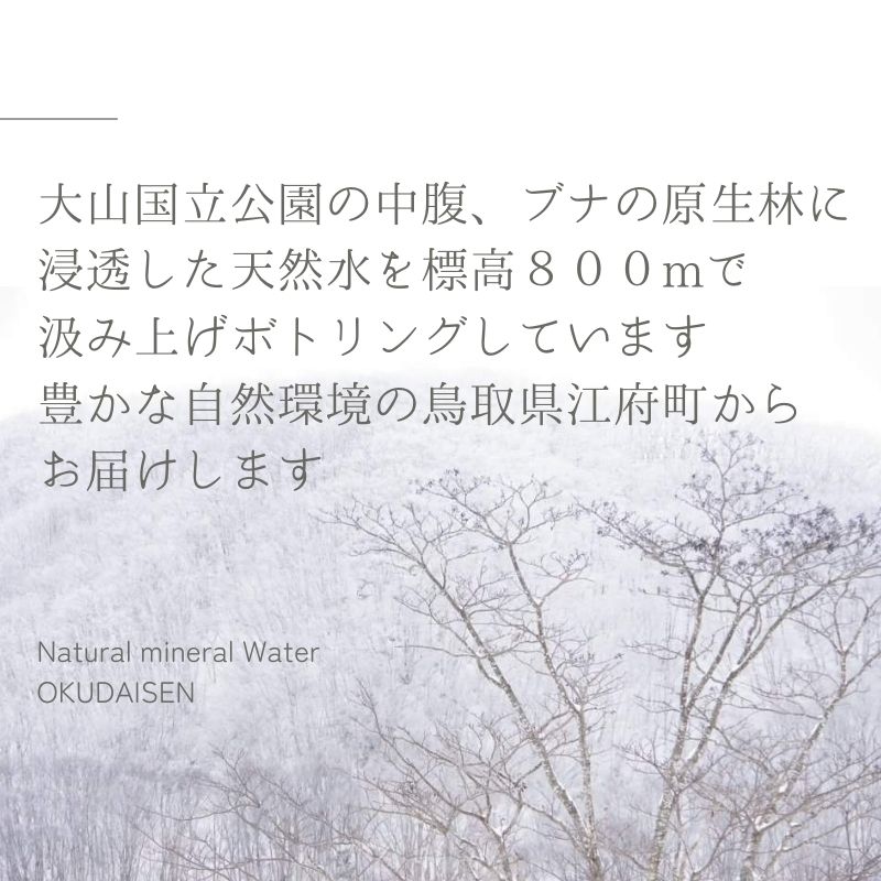 鳥取県江府町のふるさと納税 【定期便6回】天然水奥大山 2リットル12本×6回 6ヶ月連続 計72本(144リットル) ミネラルウォーター 軟水 PET 2L 水工場ヨーデル 0614