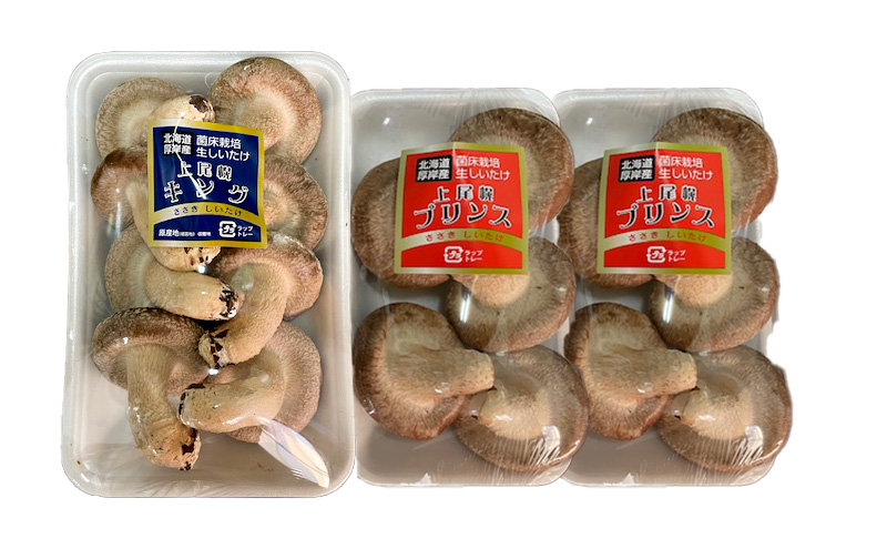 椎茸 北海道産 厚岸町 上尾幌 菌床栽培 キングしいたけ 1パック