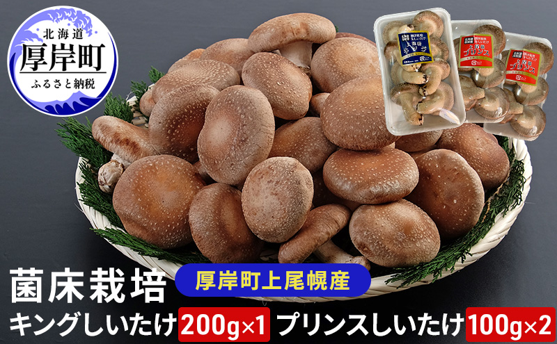 北海道産 厚岸町 上尾幌 菌床栽培 キングしいたけ 1パック