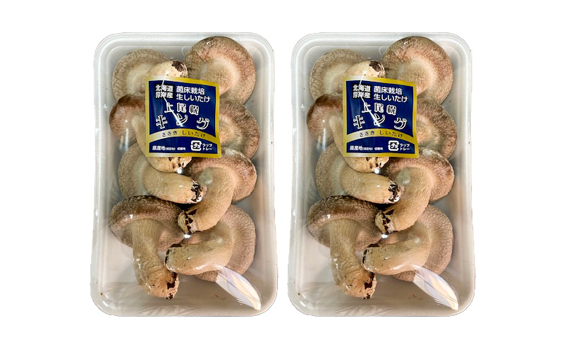 北海道産 厚岸町 上尾幌 菌床栽培 キングしいたけ 2パック 