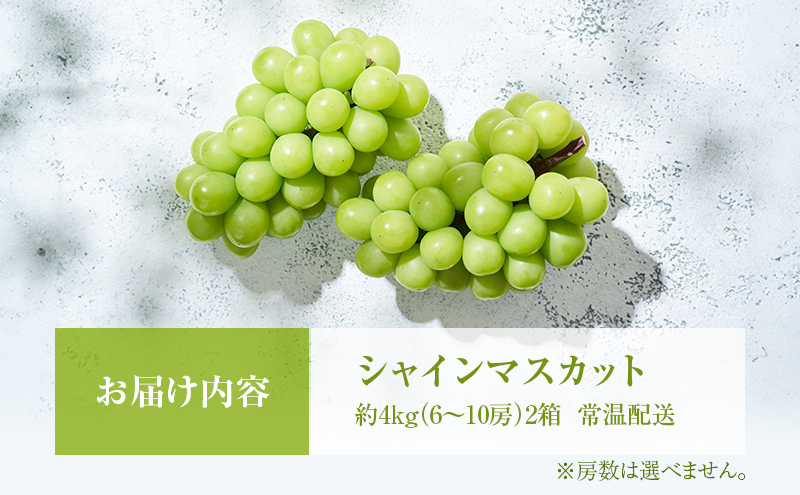 シャインマスカット 約4kg ぶどう 葡萄 フルーツ 岡山 高梁市産 2026年 先行予約 果物類 芳醇な香り 種なし 皮ごと 