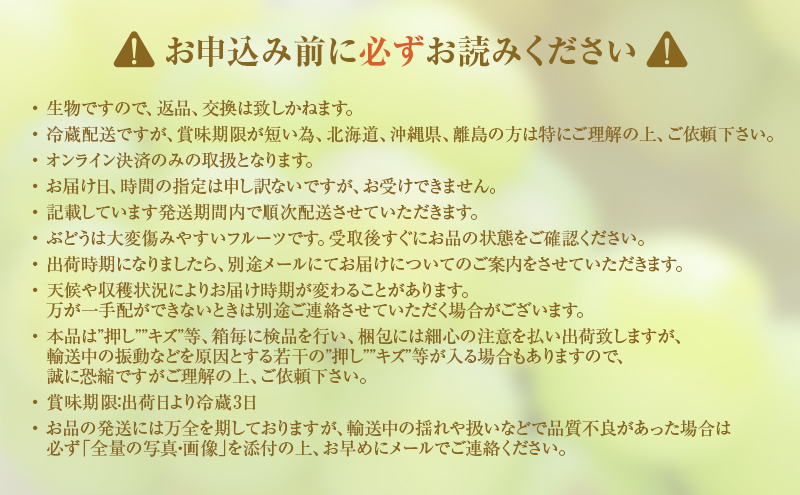 岡山県高梁市のふるさと納税 2025年 先行予約 瀬戸ジャイアンツ 2房 合計約1kg 冷蔵配送 ぶどう 葡萄 フルーツ 果物 岡山 岡山のぶどう 食後 デザート 産地直送 皮ごと 酸味が少ない 爽やか 甘い