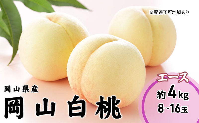 【岡山県瀬戸内市】桃 2026年 先行予約 岡山 白桃 エース 8〜16玉 4.0kg 岡山県産 JAおかやまのもも モモ 岡山県産 国産 フルーツ 果物 ギフト