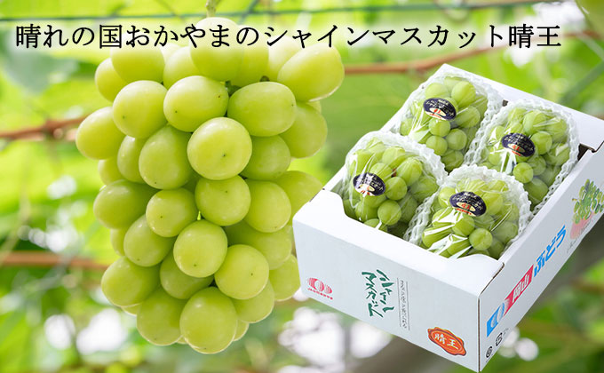 ぶどう 2026年 先行予約 ご家庭用 シャイン マスカット 晴王 3～6房 約2kg ブドウ 葡萄 岡山県産 国産 フルーツ 果物 