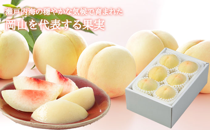 桃 2026年 先行予約 岡山 白桃 エース 4～8玉 1.2kg 岡山県産 JAおかやまのもも モモ 岡山県産 国産 フルーツ 果物 ギフト 