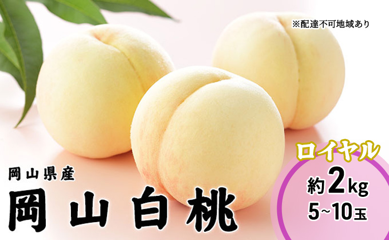 【岡山県玉野市】桃 2026年 先行予約 岡山 白桃 ロイヤル 5〜10玉 2kg 岡山県産 JAおかやまのもも モモ 岡山県産 国産 フルーツ 果物 ギフト