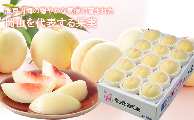 桃 2026年 先行予約 岡山 白桃 エース 8～16玉 4.0kg 岡山県産 JAおかやまのもも モモ 岡山県産 国産 フルーツ 果物 ギフト 