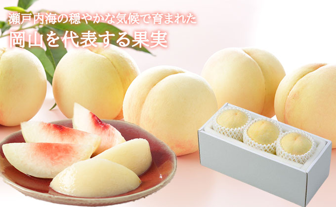 桃 2026年 先行予約 岡山 白桃 ロイヤル 3玉×200g（Lサイズ） 岡山県産 JAおかやまのもも モモ 岡山県産 国産 フルーツ 果物 ギフト 