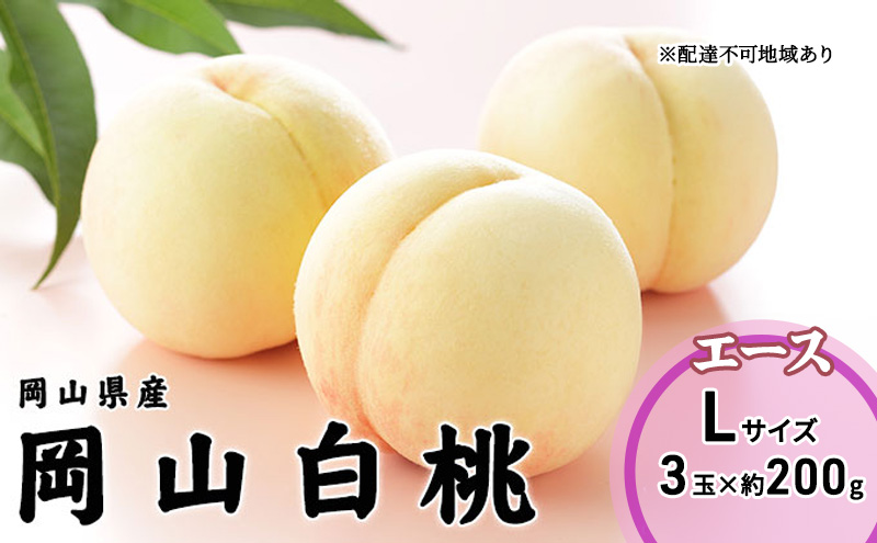 【岡山県玉野市】桃 2026年 先行予約 岡山 白桃 エース 3玉×200g(Lサイズ) 岡山県産 JAおかやまのもも モモ 岡山県産 国産 フルーツ 果物 ギフト