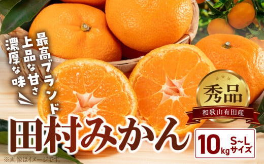 【和歌山県有田郡湯浅町】BD7005_有田の高級みかん【田村みかん】秀品!たっぷり 10kg ギフトにもオススメ (S〜Lサイズおまかせ)