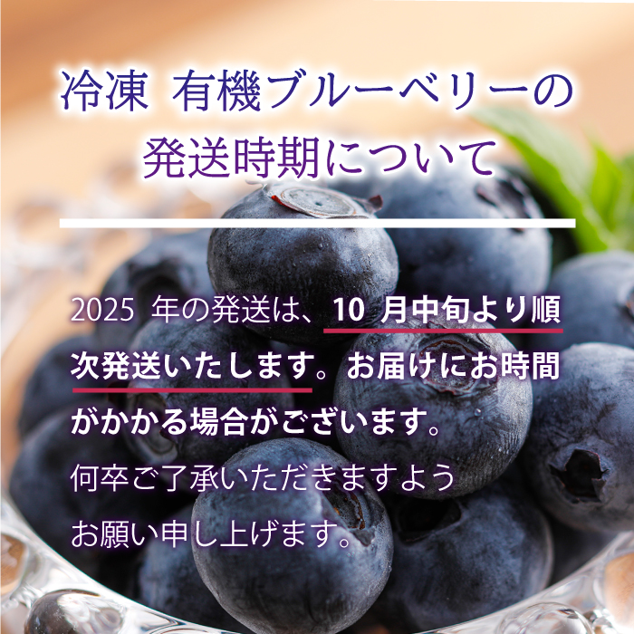 島根県邑南町のふるさと納税 冷凍 有機ブルーベリー 1.2kg（400g×3袋）
