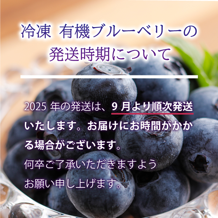 島根県邑南町のふるさと納税 冷凍 有機ブルーベリー 1.2kg（400g×3袋）