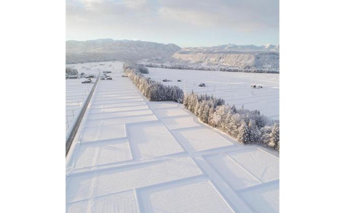 【令和7年産】定期便！魚沼産こだわり従来コシヒカリ【合計240kg】毎月20kg×12回 ブランド米 銘柄米 白米 精米 ご飯 おにぎり お弁当 
