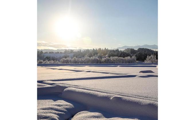 【令和7年産】定期便！魚沼産こだわり従来コシヒカリ【合計15kg】毎月5kg×3回 ブランド米 銘柄米 白米 精米 ご飯 おにぎり お弁当 
