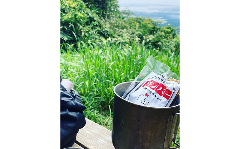 チキンバー2種　食べ比べセット（計8パック）［秘伝のたれ味：4パック　スパイシーカレー味：4パック］ 惣菜 おかず お酒のお供 キャンプ飯 アウトドア飯 パーティ ギフト つまみ